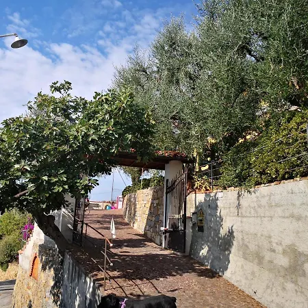 La Terrazza Sul Mare Casa Vacanze 아파트 *